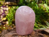 Polished Rose Quartz Standing Free Forms x 4 From Madagascar