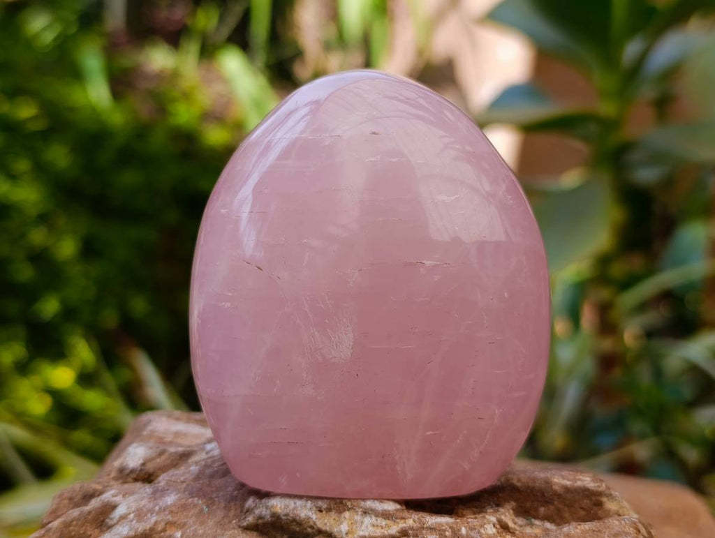 Polished Rose Quartz Standing Free Forms x 4 From Madagascar