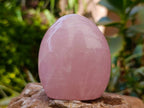 Polished Rose Quartz Standing Free Forms x 4 From Madagascar
