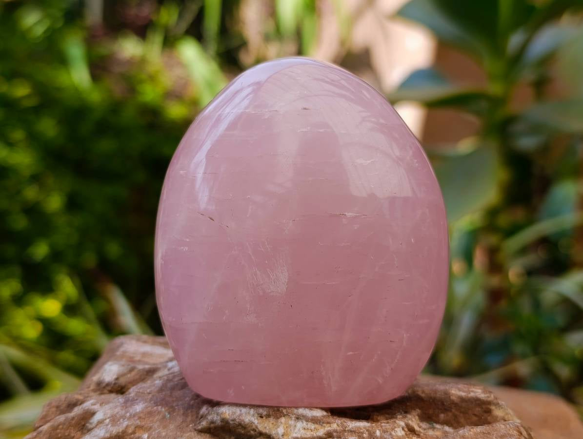 Polished Rose Quartz Standing Free Forms x 4 From Madagascar