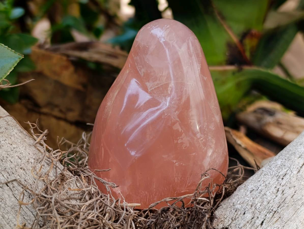 Polished Rose Quartz Standing Free Forms x 4 From Madagascar