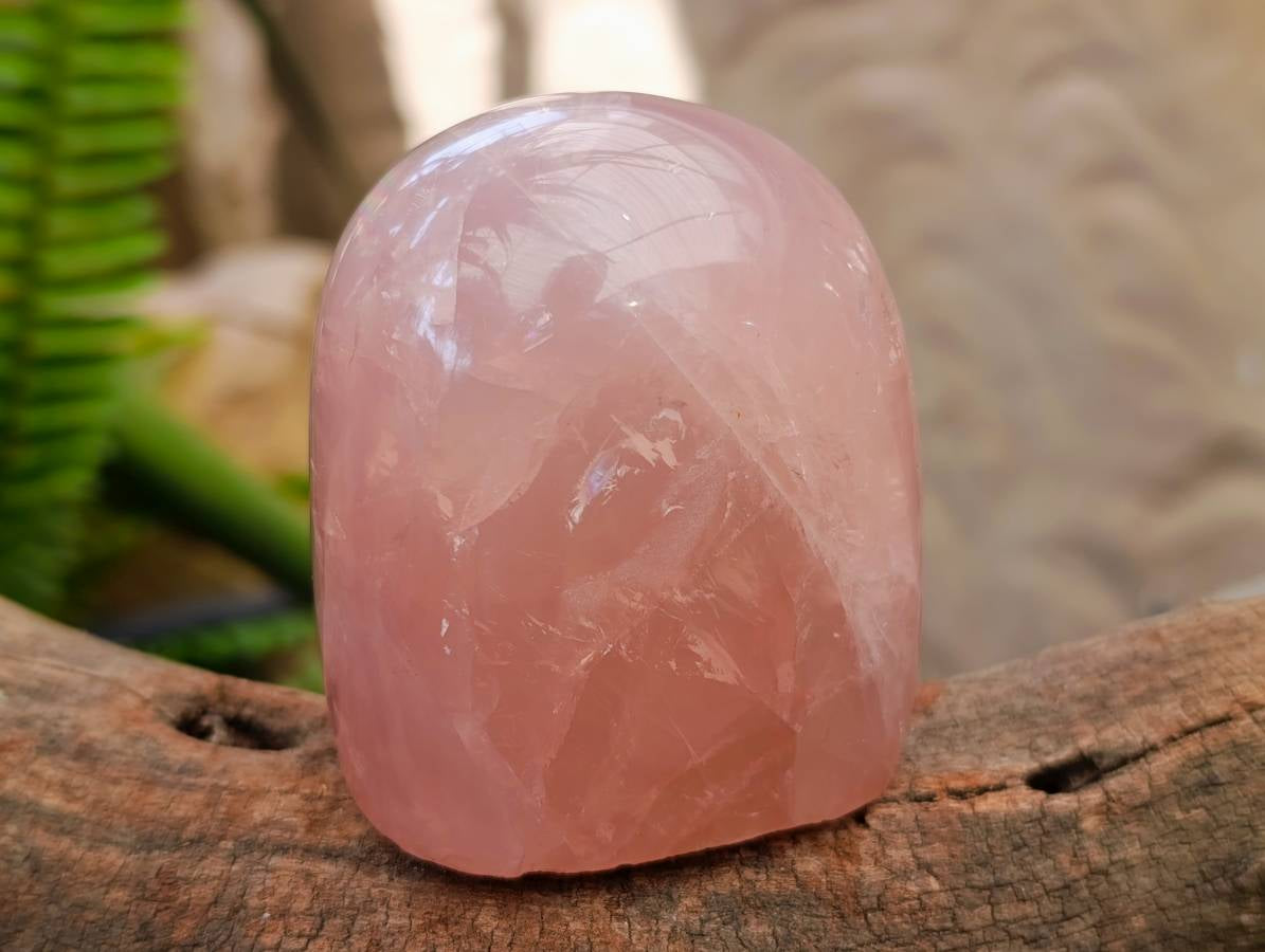 Polished Rose Quartz Standing Free Forms x 4 From Madagascar