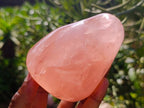 Polished Rose Quartz Standing Free Forms x 4 From Madagascar
