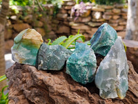 Natural Swazi Jade Cobbed Specimens x 24 From Swaziland