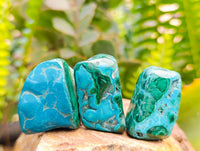 Polished Malacolla Free Forms x 35 From Kulukuluku, Congo