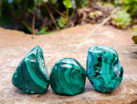 Polished Malacolla Free Forms x 35 From Kulukuluku, Congo