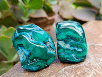 Polished Malacolla Free Forms x 35 From Kulukuluku, Congo