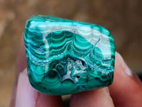 Polished Malacolla Free Forms x 35 From Kulukuluku, Congo