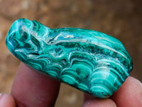 Polished Malacolla Free Forms x 35 From Kulukuluku, Congo