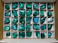 Polished Malacolla Free Forms x 35 From Kulukuluku, Congo