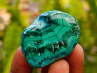 Polished Malacolla Free Forms x 35 From Kulukuluku, Congo