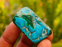 Polished Malacolla Free Forms x 35 From Kulukuluku, Congo