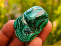 Polished Malacolla Free Forms x 35 From Kulukuluku, Congo