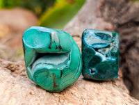 Polished Malacolla Free Forms x 35 From Kulukuluku, Congo