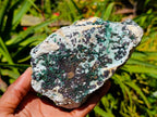 Natural Drusy Coated Malachite And Chrysocolla Specimens x 3 From Likasi, Congo