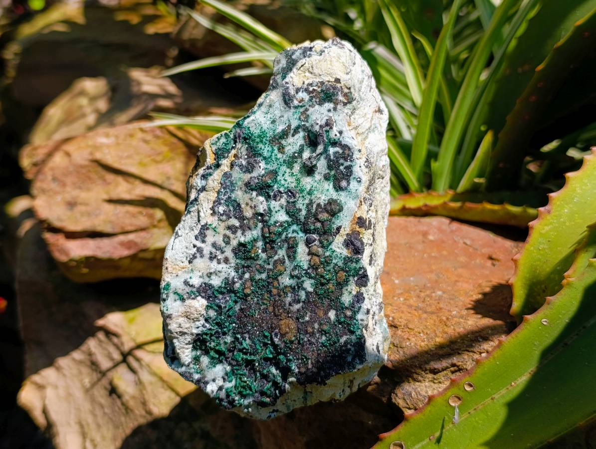 Natural Drusy Coated Malachite And Chrysocolla Specimens x 3 From Likasi, Congo