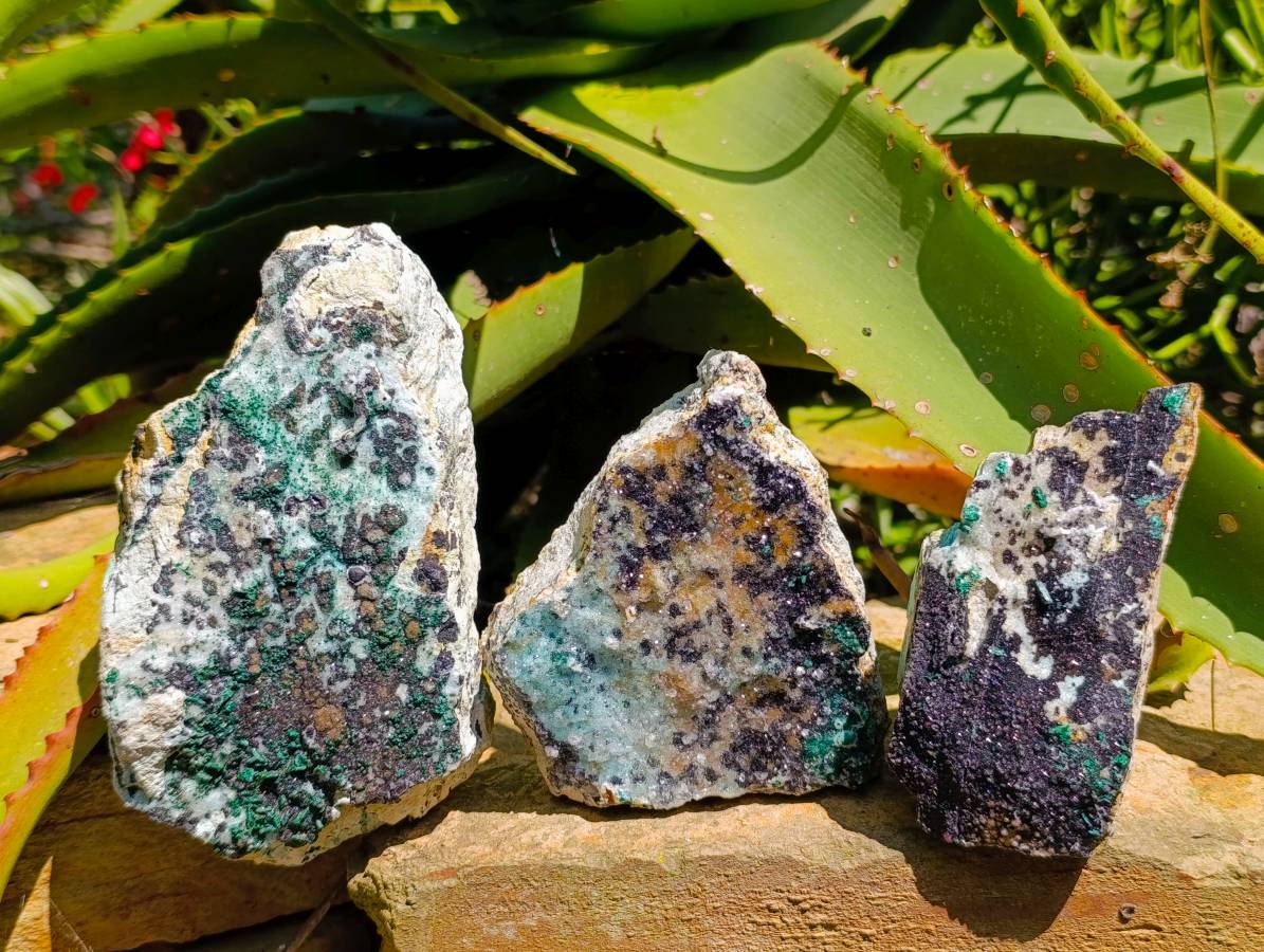 Natural Drusy Coated Malachite And Chrysocolla Specimens x 3 From Likasi, Congo