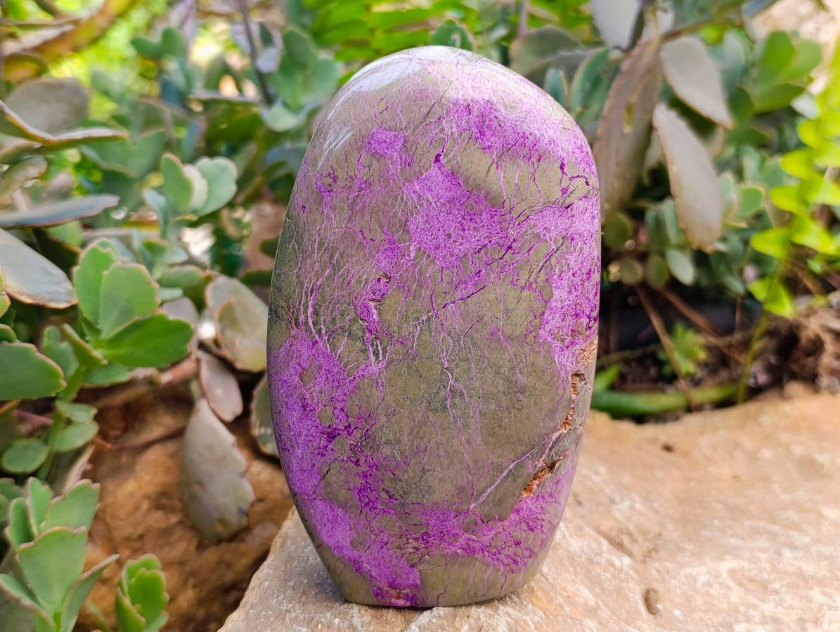 Polished Mixed Standing Free Forms x 3 From Southern Africa