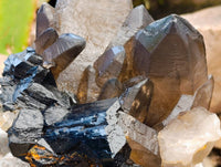 Natural Schorl Black Tourmaline With Smokey Quartz Specimens x 2 From Erongo, Namibia