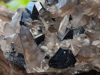 Natural Schorl Black Tourmaline With Smokey Quartz Specimens x 2 From Erongo, Namibia