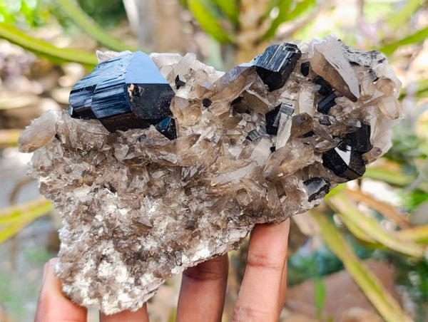 Natural Schorl Black Tourmaline With Smokey Quartz Specimens x 2 From Erongo, Namibia