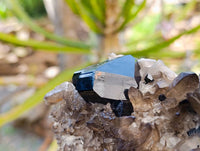 Natural Schorl Black Tourmaline With Smokey Quartz Specimens x 2 From Erongo, Namibia