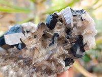 Natural Schorl Black Tourmaline With Smokey Quartz Specimens x 2 From Erongo, Namibia