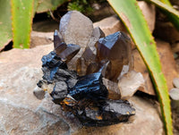 Natural Schorl Black Tourmaline With Smokey Quartz Specimens x 2 From Erongo, Namibia