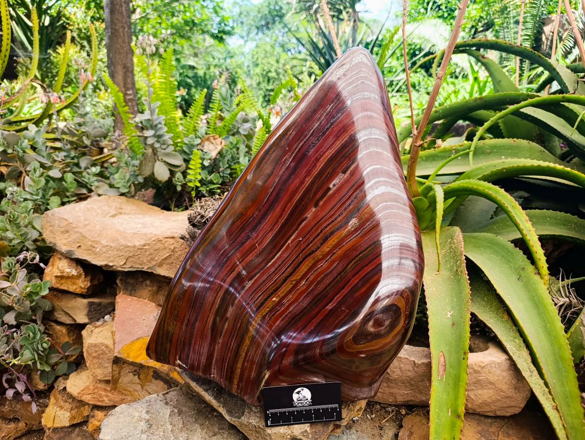Polished XXL Banded Tiger Iron Standing Free Form x 1 From South Africa