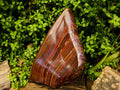 Polished XXL Banded Tiger Iron Standing Free Form x 1 From South Africa