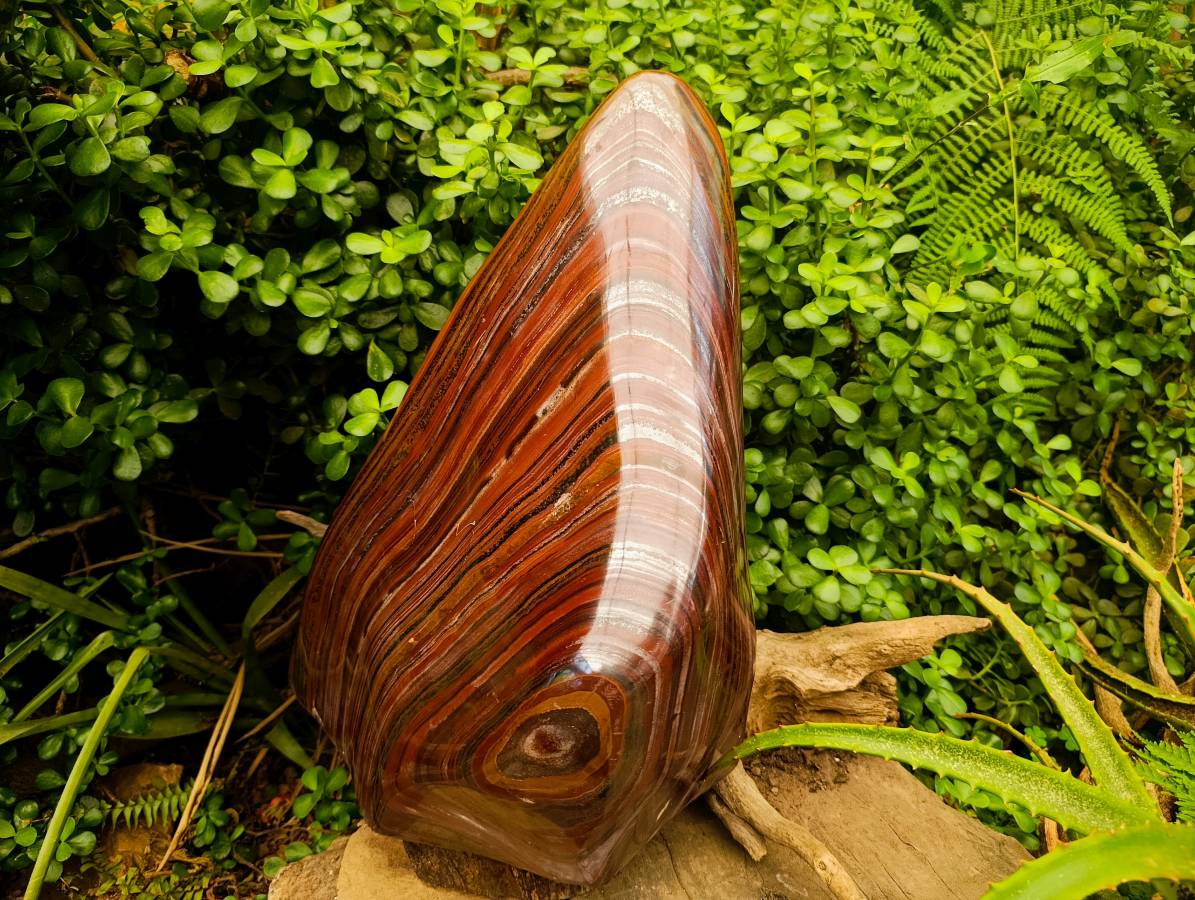 Polished XXL Banded Tiger Iron Standing Free Form x 1 From South Africa