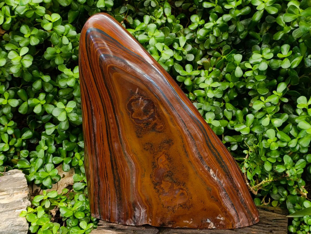Polished XXL Banded Tiger Iron Standing Free Form x 1 From South Africa
