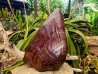 Polished XXL Banded Tiger Iron Standing Free Form x 1 From South Africa