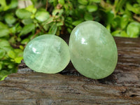 Polished Green Fluorite Palm Stones x 12 From Madagascar