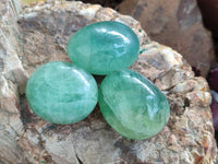 Polished Green Fluorite Palm Stones x 12 From Madagascar