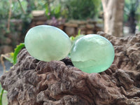 Polished Green Fluorite Palm Stones x 12 From Madagascar