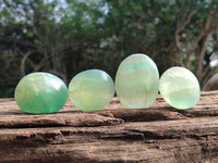 Polished Green Fluorite Palm Stones x 12 From Madagascar