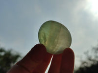 Polished Green Fluorite Palm Stones x 12 From Madagascar