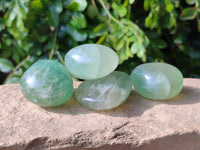 Polished Green Fluorite Palm Stones x 12 From Madagascar