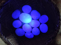 Polished Green Fluorite Palm Stones x 12 From Madagascar