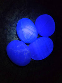 Polished Green Fluorite Palm Stones x 12 From Madagascar
