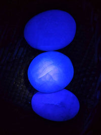 Polished Green Fluorite Palm Stones x 12 From Madagascar