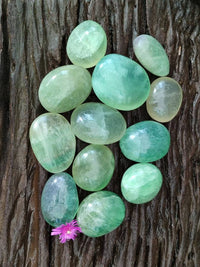 Polished Green Fluorite Palm Stones x 12 From Madagascar