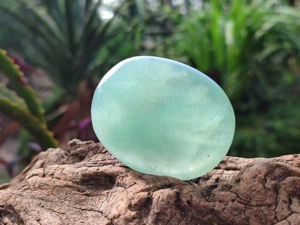 Polished Green Fluorite Palm Stones x 12 From Madagascar