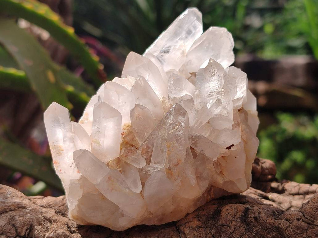 Natural Quartz Crystal Clusters x 6 From Madagascar