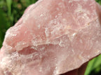 Natural Cobbed Rose Quartz Specimens x 5 From Northern Cape, South Africa