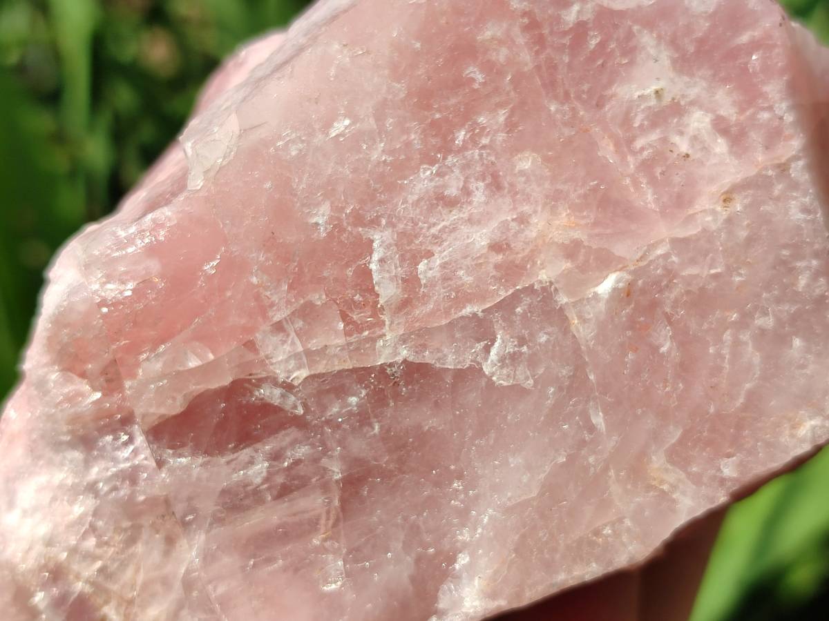Natural Cobbed Rose Quartz Specimens x 5 From Northern Cape, South Africa