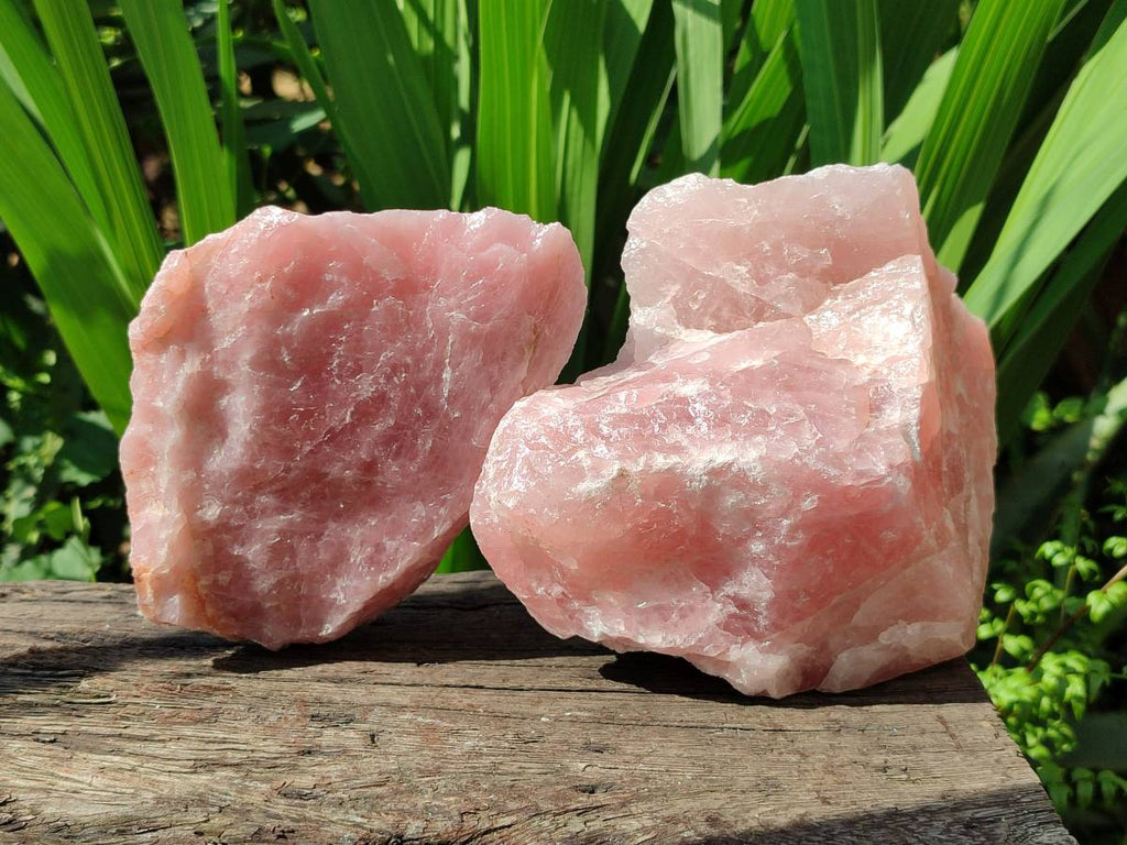 Natural Cobbed Rose Quartz Specimens x 5 From Northern Cape, South Africa