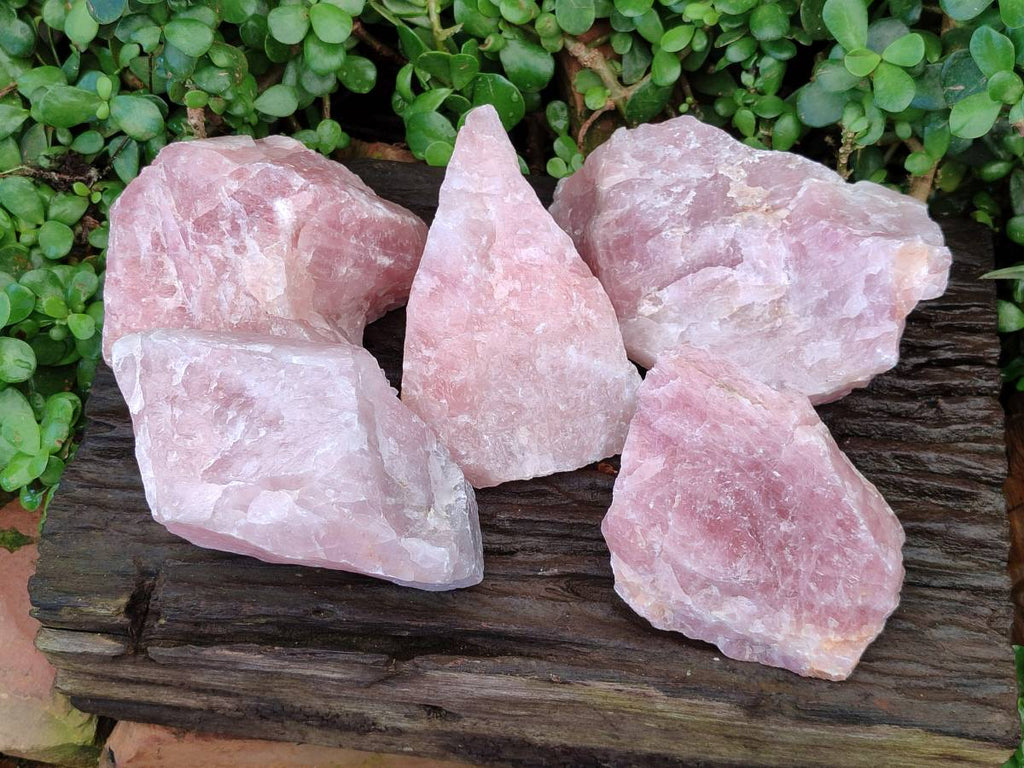 Natural Cobbed Rose Quartz Specimens x 5 From Northern Cape, South Africa
