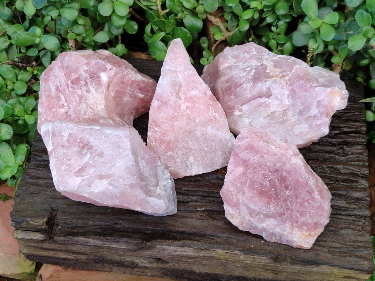 Natural Cobbed Rose Quartz Specimens x 5 From Northern Cape, South Africa